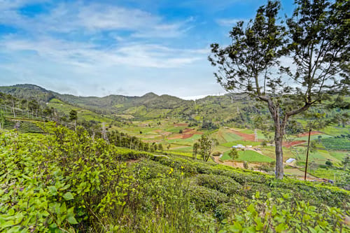 Heaven Hill View | Elegant 2-BHK Hill Retreat With Garden & Balcony – 2 bedroom villa in Ooty, Tamil Nadu