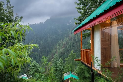 The Sinatra Skylight: Glass treehouse in the mist