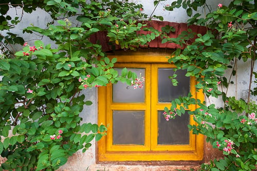 Retreat on Cloud 9 Homestay – 2 bedroom villa in Lonavala, Maharashtra