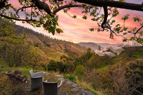 Apricot @ The Orchard Song – 3 bedroom villa in Shimla, Himachal pradesh