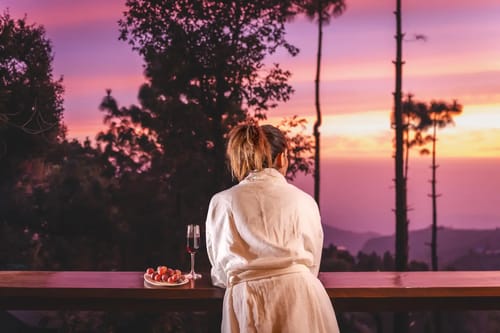 The Kingfisher Treehouse With Jacuzzi – 1 bedroom villa in Mussoorie, Uttarakhand