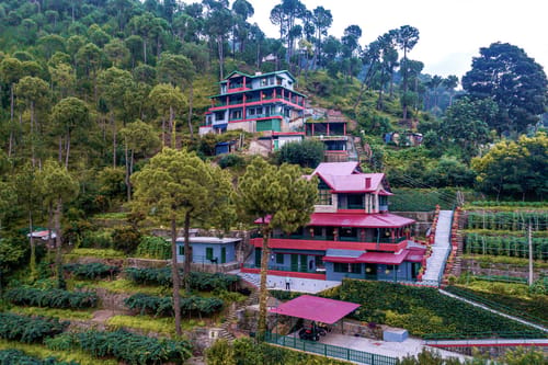 Cecil Cottages - Barog – 8 bedroom villa in Kasauli, Himachal Pradesh