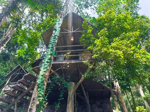 Panchavadi | 10-acre Land With 6 Forest-Facing Rooms, Natural Mountain Pool, Garden & Restro