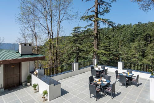 1 Room @ Pine Estate w/ Complimentary Breakfast – 1 bedroom villa in Shimla, Himachal Pradesh
