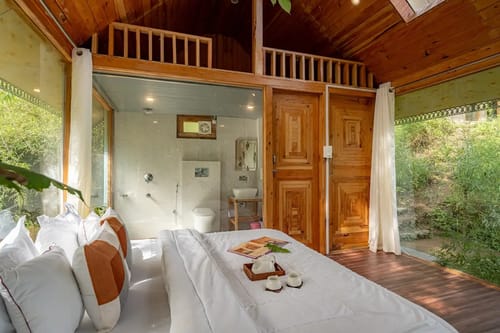 The Sinatra Skylight: Glass treehouse in the mist