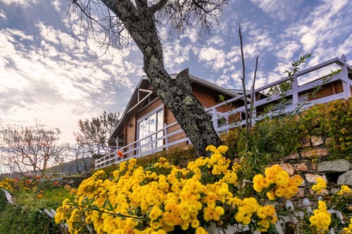 Sara's Chalet One – 3 bedroom villa in Nainital, Uttarakhand
