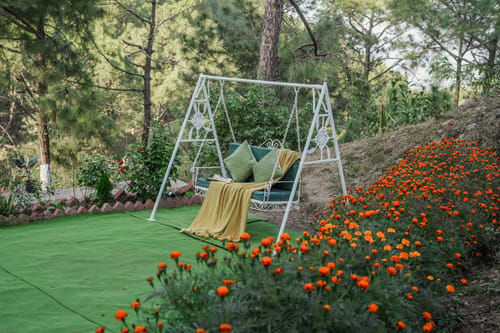 Pine View Resort | Pet-friendly Hilltop 1-Suite With Garden-Facing Balcony, Rooftop lounge, Restro & Game Zone – 1 bedroom villa in Kasauli, Himachal Pradesh