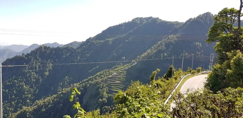 Countryside Villa – 3 bedroom villa in Mussoorie, Uttarakhand