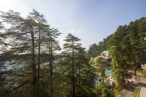 Baljees Melville Divine Apartments | 1-BHK | Kitchen | Lift – 1 bedroom villa in Shimla, Himachal Pradesh