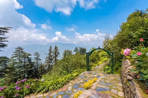 Violet Hill - Mashobra – 3 bedroom villa in Shimla, Himachal Pradesh