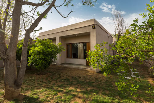 The Owl House – 4 bedroom villa in Jaipur, Rajasthan