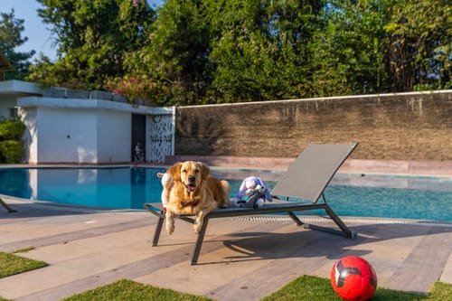 Dharma @ The Manvi Estate – 2 bedroom villa in Delhi-ncr, Delhi