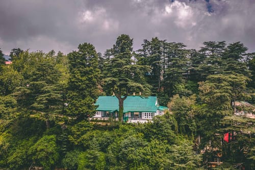 Rose Cottage – 6 bedroom villa in Shimla, Himachal Pradesh