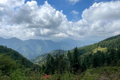 Under The Pines – 3 bedroom villa in Shimla, Himachal Pradesh