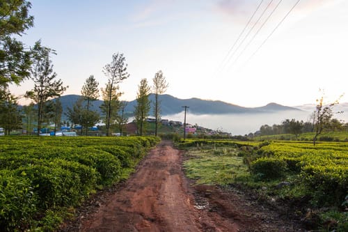 2 Rooms @ Villa Sullivan – 2 bedroom villa in Ooty, Tamil Nadu