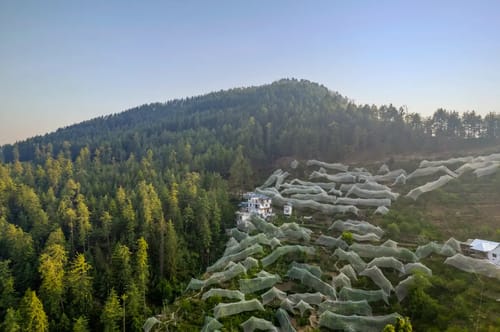 Theog 2BHK Loft with Patio