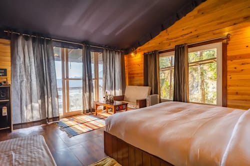 The Barbet - Treehouse