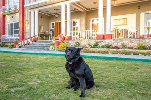 The Silver Oaks Cottage – 5 bedroom villa in Dehradun, Uttarakhand
