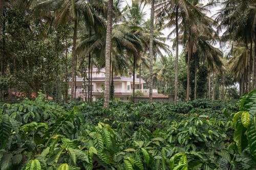 Bask In The Greens – 4 bedroom villa in Coorg, Karnataka