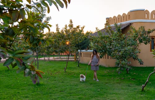 Aanandam Villas and Resort | Pet-friendly Cottage With Private Plunge Pool, Patio, Shared Pool Restro & Garden – 1 bedroom villa in Delhi Ncr, Delhi