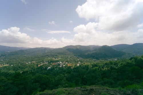 Panchavadi | Forest-Facing Room on 10-acre Land, Shared Natural Pool, Garden & Restro