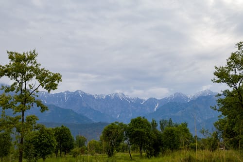 Esh Cottages Willow | Hillside 1-room Retreat With Lush Garden, Common Pool & Restaurant