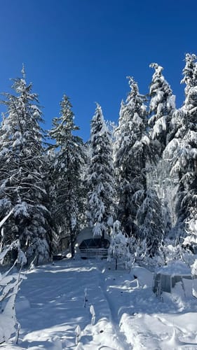Glamorous Presidential Suite