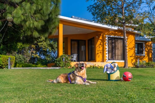 Artha @ The Manvi Estate – 2 bedroom villa in Delhi-ncr, Delhi
