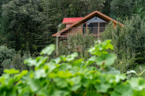 The Orchard Song – 3 bedroom villa in Shimla, Himachal Pradesh