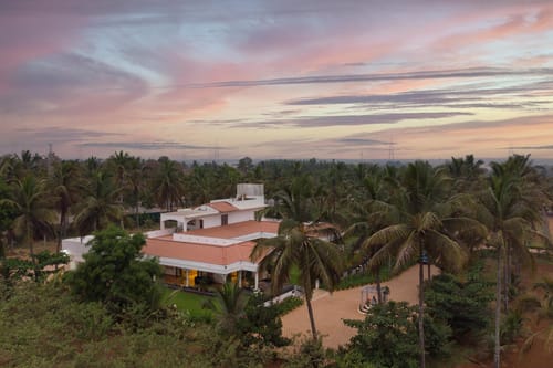 Mist @ Silver Oak Farm