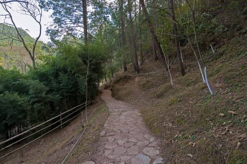 Shades @ The Mansion – 3 bedroom villa in Kasauli, Himachal Pradesh