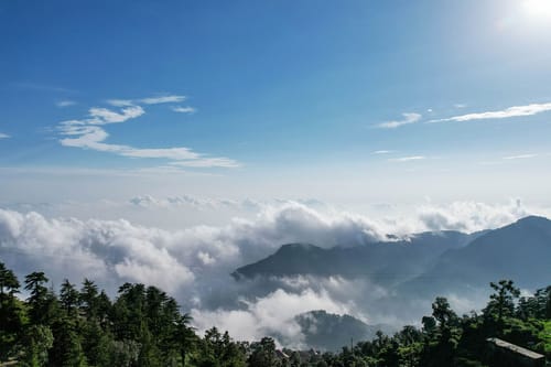 Pineview @ Albert Estate – 3 bedroom villa in Mussoorie, Uttarakhand