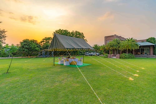 Peacocks & Partridges