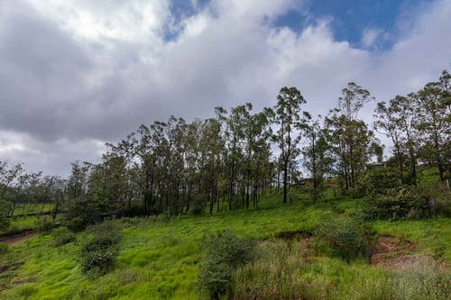 3 Rooms @ The Ourea – 3 bedroom villa in Panchgani, Maharashtra