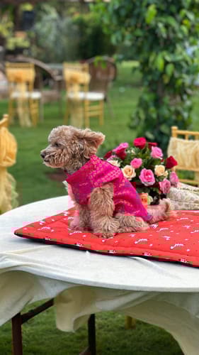 Celebrations and Offsites at Vista Villas near Mumbai