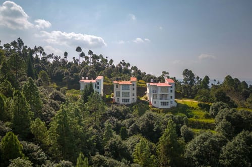 Morning Bliss - Ranikhet