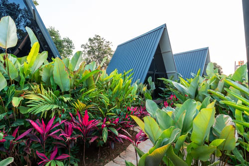 Inara Retreat | Pet-Friendly 1- Cottage with a Mezzanine Loft, Shared Pool, and Garden – 1 bedroom villa in Bengaluru, Karnataka