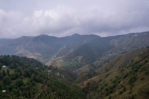Summit @ The Mohru Estate - Chail w/ Heated Pool – 4 bedroom villa in Shimla, Himachal Pradesh