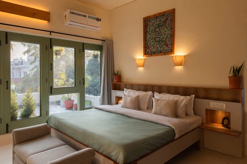 Plush @ Fiddle Leaf Home