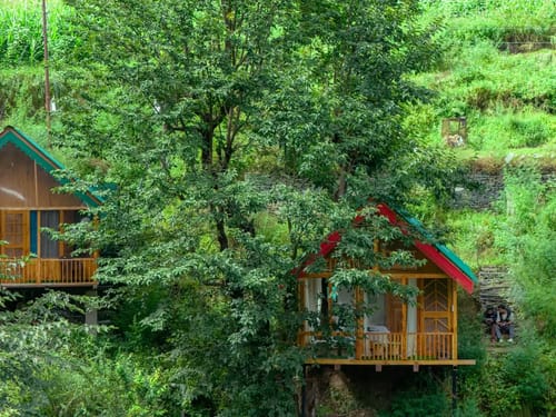 The Sinatra Skylight: Glass treehouse in the mist