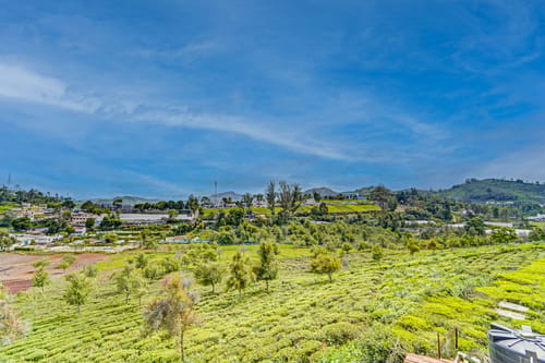 Cleft | 3-BHK With Garden, Picturesque Verandah & Balcony With Views – 3 bedroom villa in Ooty, Tamil Nadu
