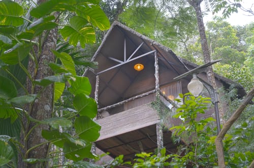 Panchavadi | Tree House On 10-acre Land With Natural Pool, Garden & Restro