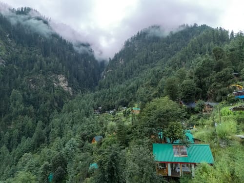 The Sinatra Skylight: Glass treehouse in the mist
