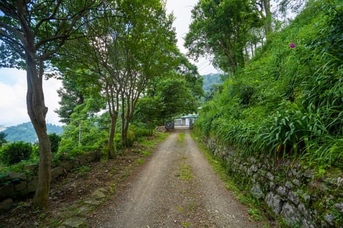 Springfield – 4 bedroom villa in Kasauli, Himachal Pradesh