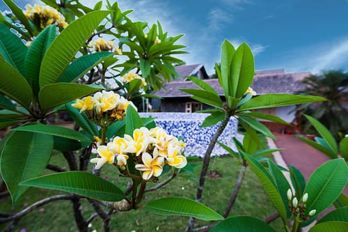 Retreat on Cloud 9 Homestay – 2 bedroom villa in Lonavala, Maharashtra