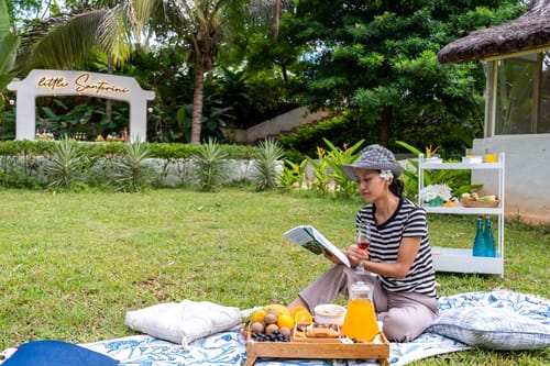 Wellnest Natural Farms