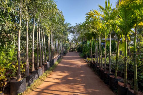 Green Heritage Villa – 8 bedroom villa in Lonavala, Maharashtra
