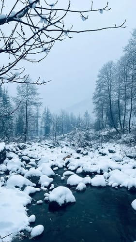 Glamorous Presidential Suite