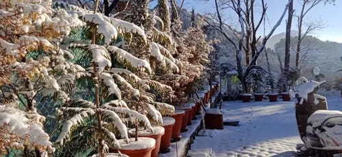 La Foret Cottages; Landour Cottage – 1 bedroom villa in Mussoorie, Uttarakhand