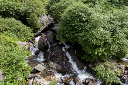 Nirvana Dhar - Book Individual Cottages